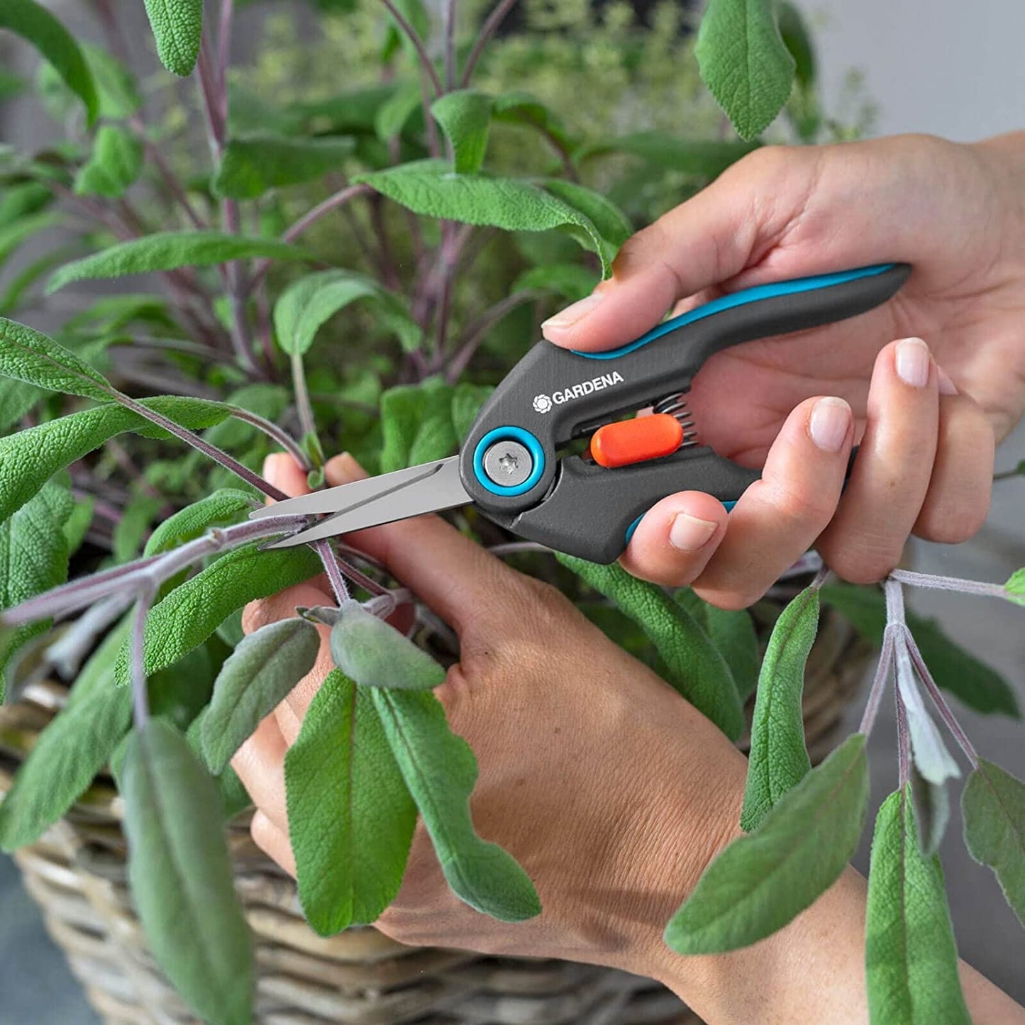 Gardena Forbici di Precisione FreshCut